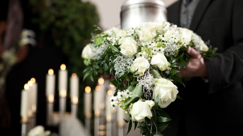 Zemřel přední odborník na moderní dějiny střední a východní Evropy. Vlček zkoumal vztahy Slovanů