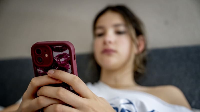 Profant: „Šmírovací“ návrh? Rakušan otočil, je pod tlakem. Hledali jsme cestu, hájí ho Šebelová