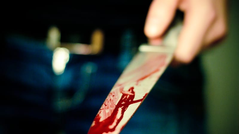 Hrůza v Polsku: Matka zavraždila své děti a pak si vzala život. Těla našel v septiku otec