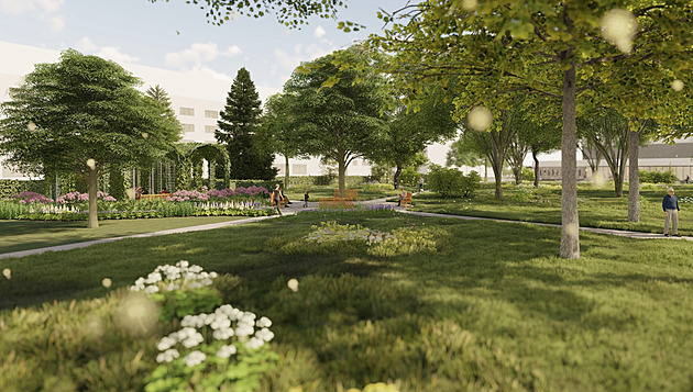 Města se musí postarat o další zeleň. S nařízením EU starostové nesouhlasí