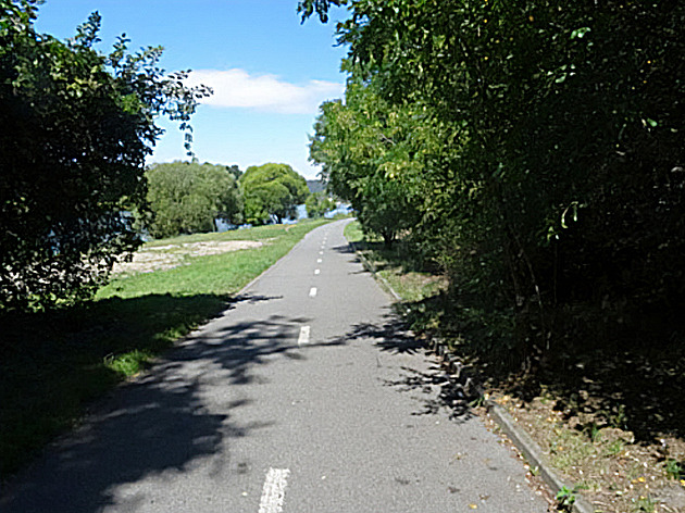 Cyklista srazil seniorku, pak ji odvedl domů. Teď po něm pátrá policie