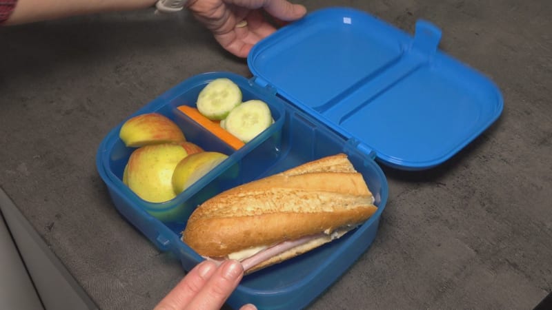 Školní svačiny? Nejčastěji rohlík se šunkou, ale i zelenina. Expert radí, co dětem prospěje