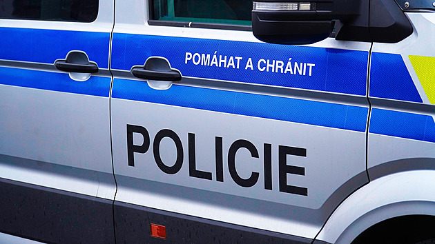 Řidič s naslouchátkem na přechodu srazil jedenáctiletou dívku, hledá ho policie