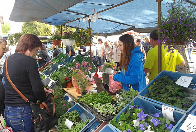 Do Brodu míří tisíce zahrádkářů. Výstava nabídne vše, od sazenic po kurníky