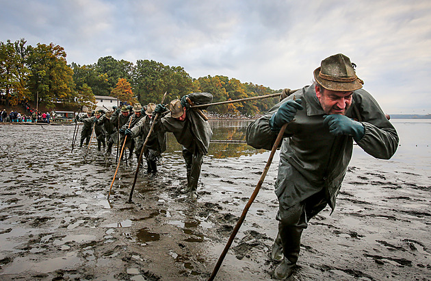 Největší sucho za desítky let. Třeboňským rybníkům chybí už přes 20 procent vody