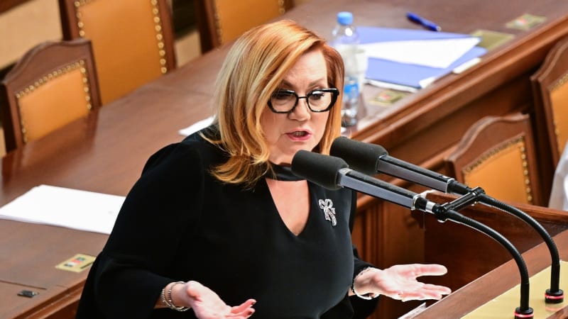 Penzijní společnosti kritizují plán Schillerové: Změny zúží služby a výnosy výrazně nezvýší
